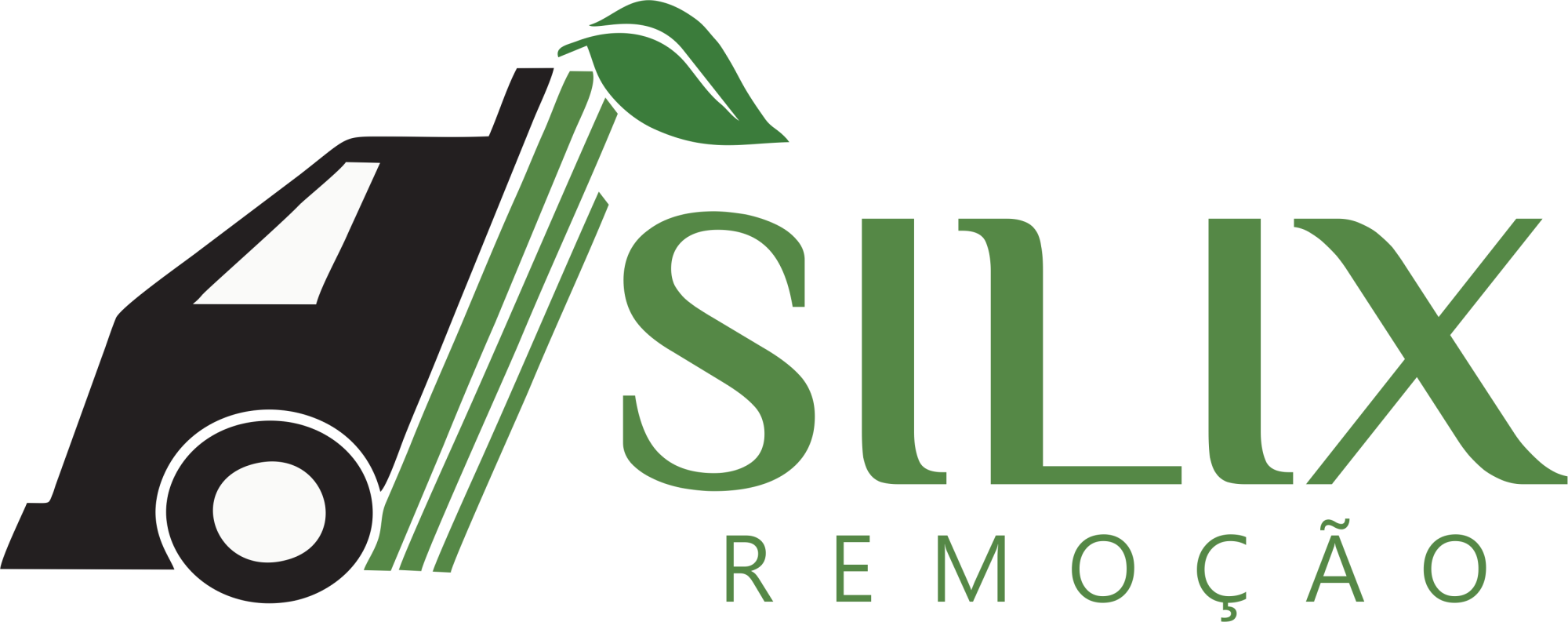 Silix remoção